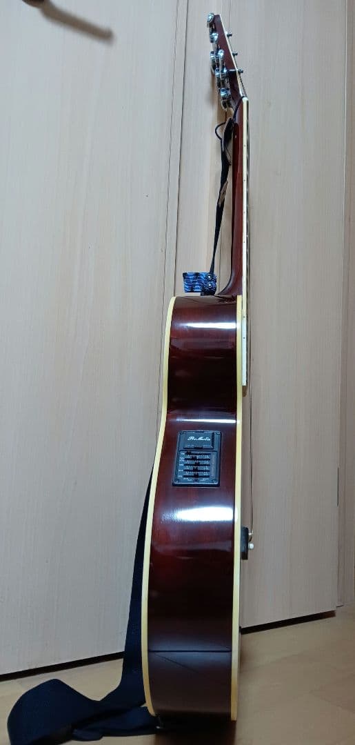 promartin ea500w vs エレアコ　ギター