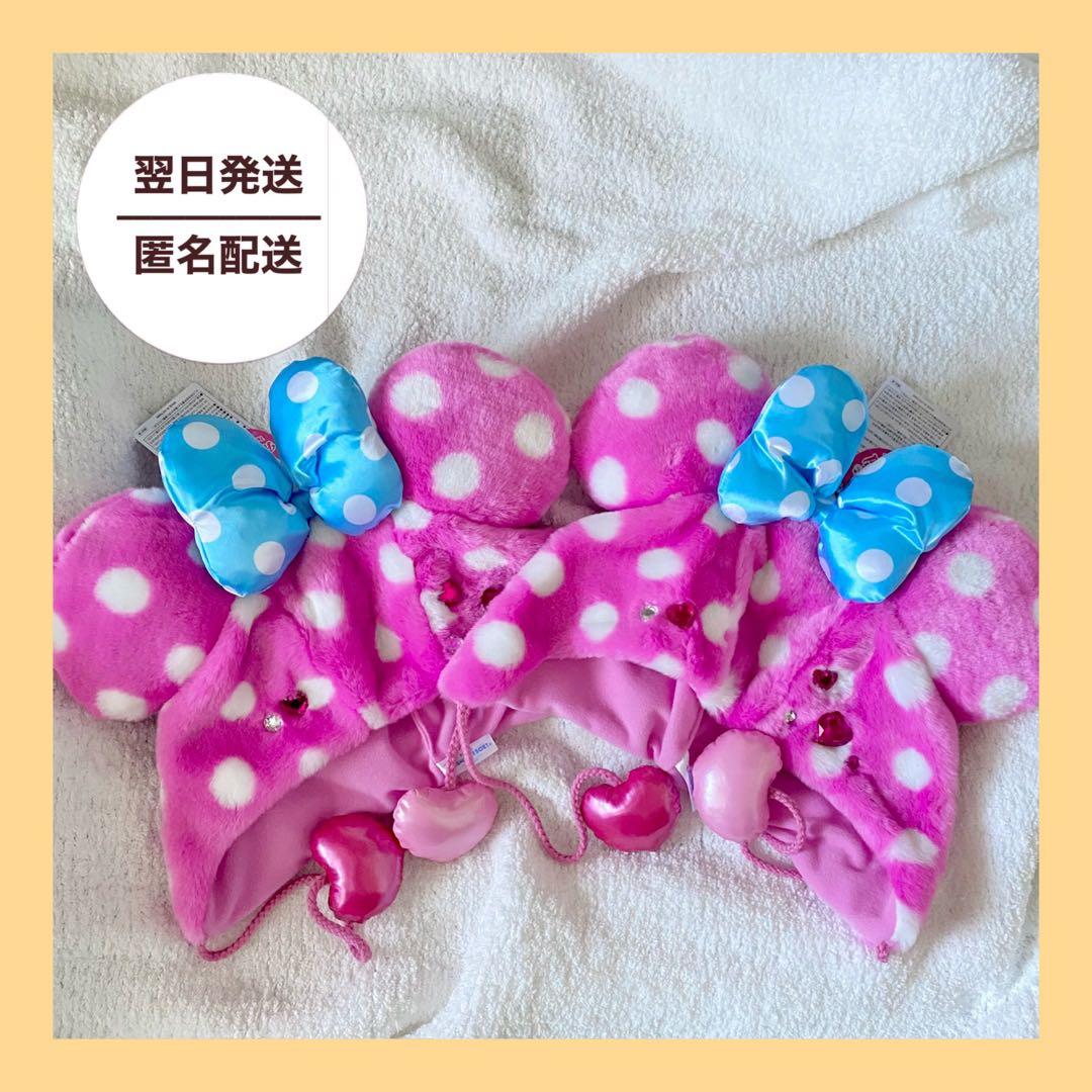 Disney ディズニー　パルパルーザ　ミニー ファンダーランド　ファンキャップ