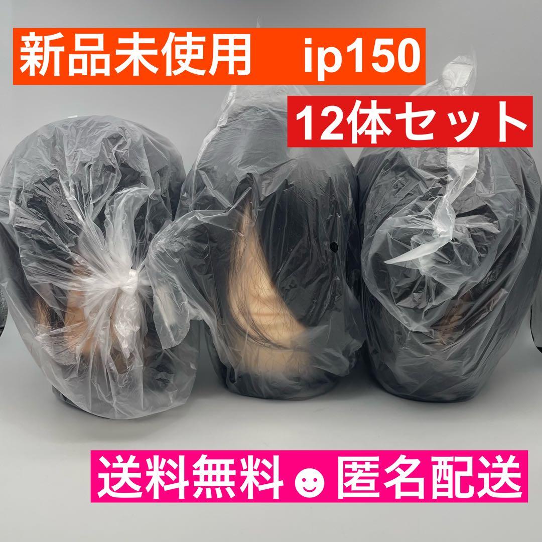 カットウィッグ　カットマネキン　ip150 新品未使用