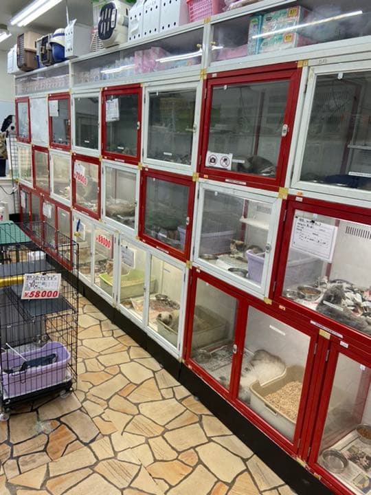 ペットケージ　犬舎　猫ケージ　収納ケース　爬虫類用ゲージ