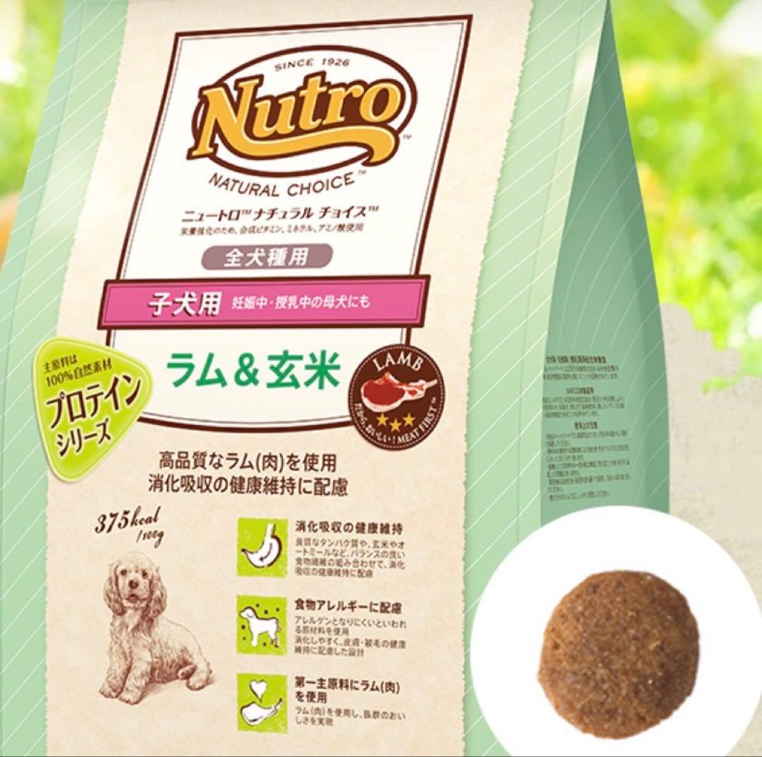 Nutro 子犬用 ドライフード ラム＆玄米 17kg