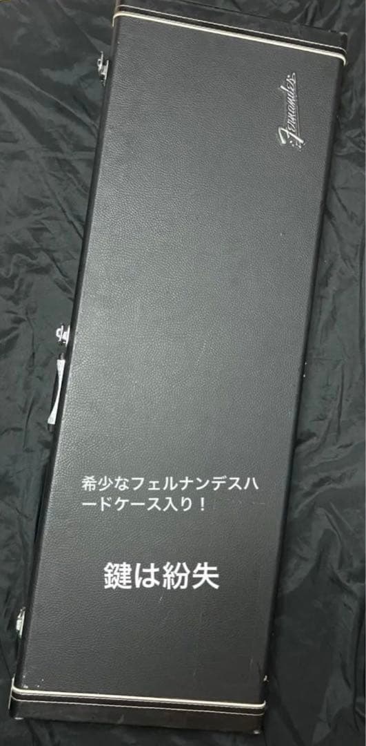 【Fernandes】エレキギター APG series 限定品