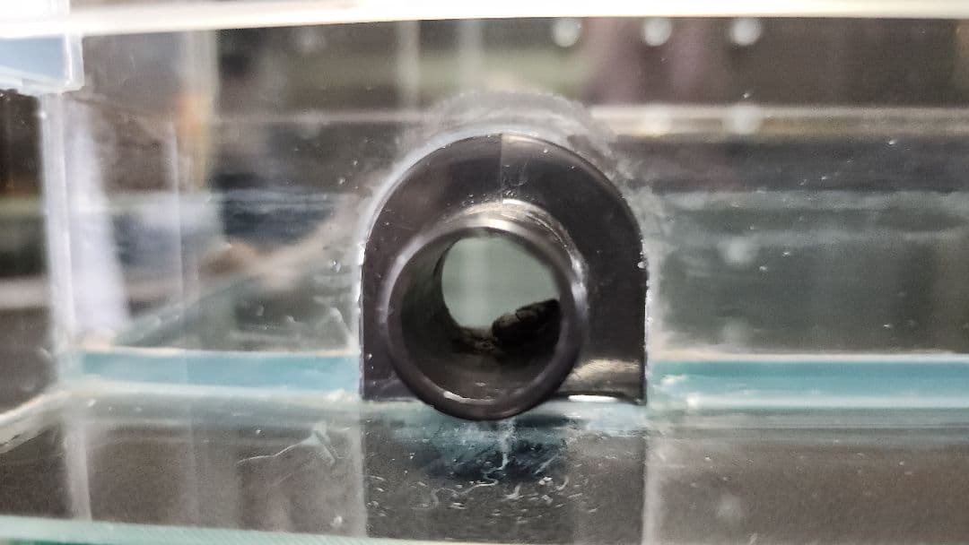 Rainforest 600×300×450