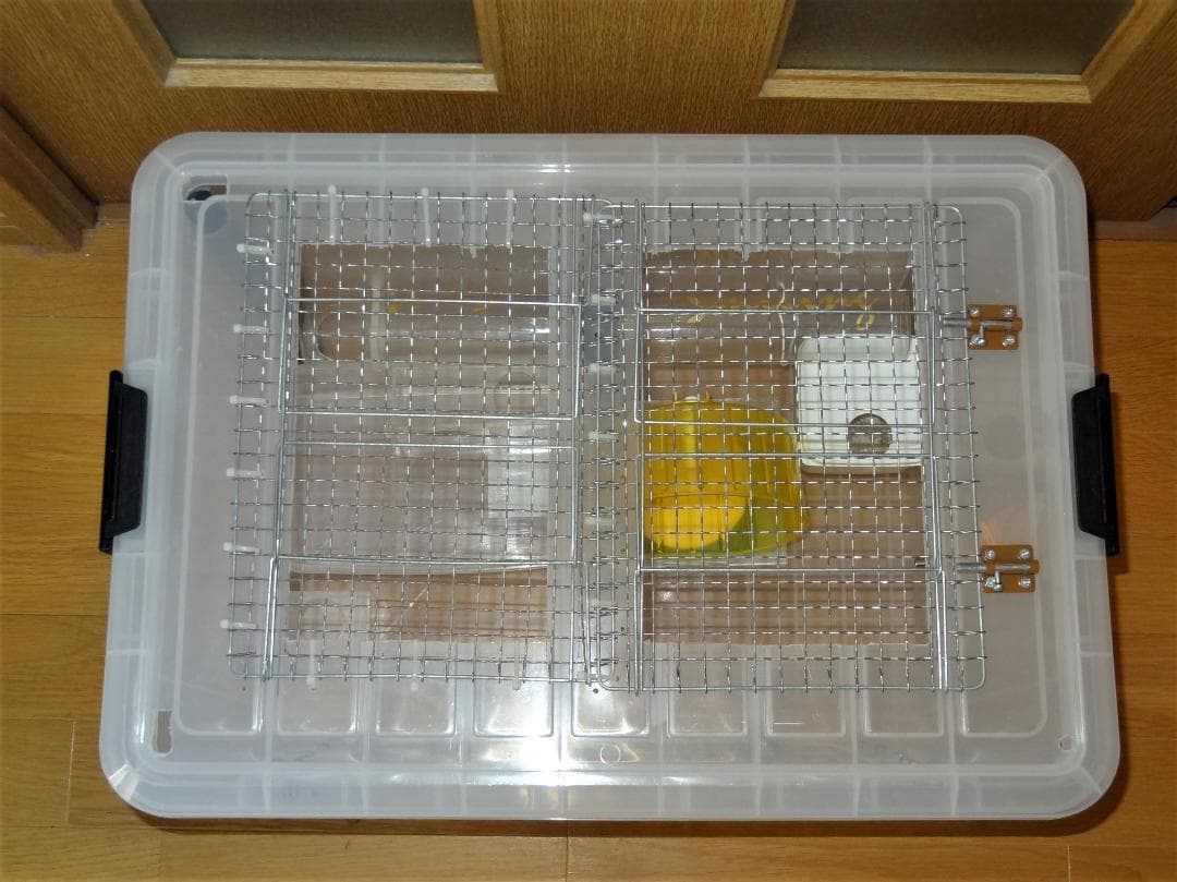 ハムスター 飼育ケージ 飼育セットケース  前開き 透明 天板開閉 地下型の巣箱