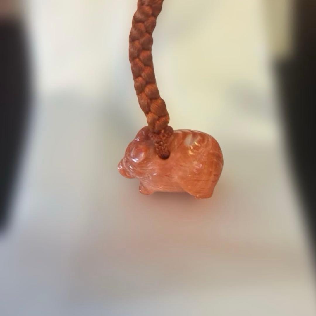 谷口康隆 作 猪 百貨店購入 根付 チャーム ストラップ 珊瑚 アクセサリー