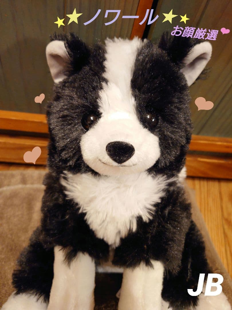 くったりボーダーコリー おりこうさん  ノワール  JB