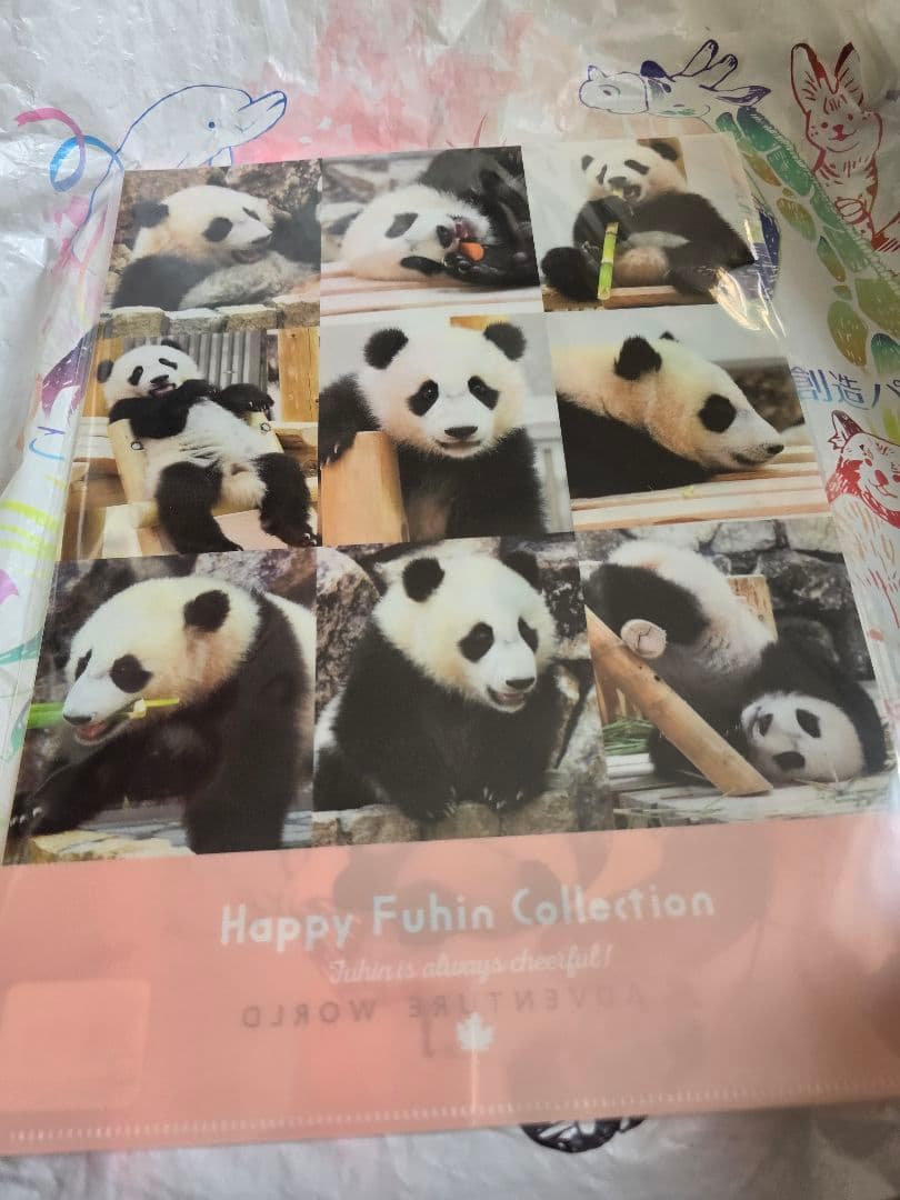 ぷ*ん様 アドベンチャーワールド　楓浜　クリアファイル