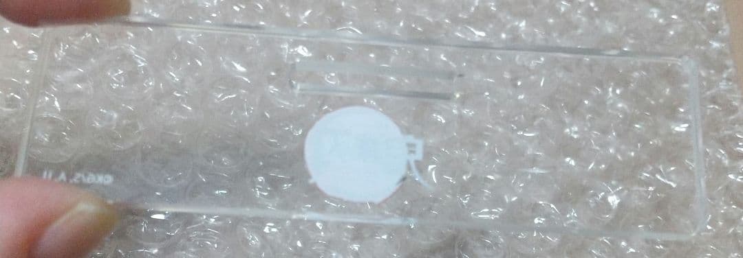 ☆鬼滅の刃☆ 不死川実弥 ワールドツアーキービジュアル ランダムアクリルスタンド