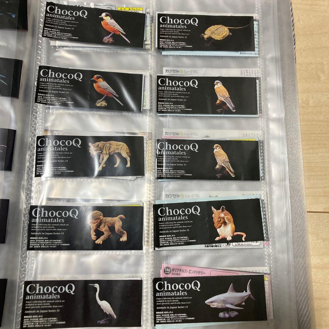 海洋堂　チョコQ 日本の動物　11弾　フルコンプ