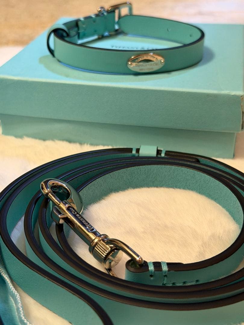 Tiffany & Co. 首輪とリードセット Sサイズ
