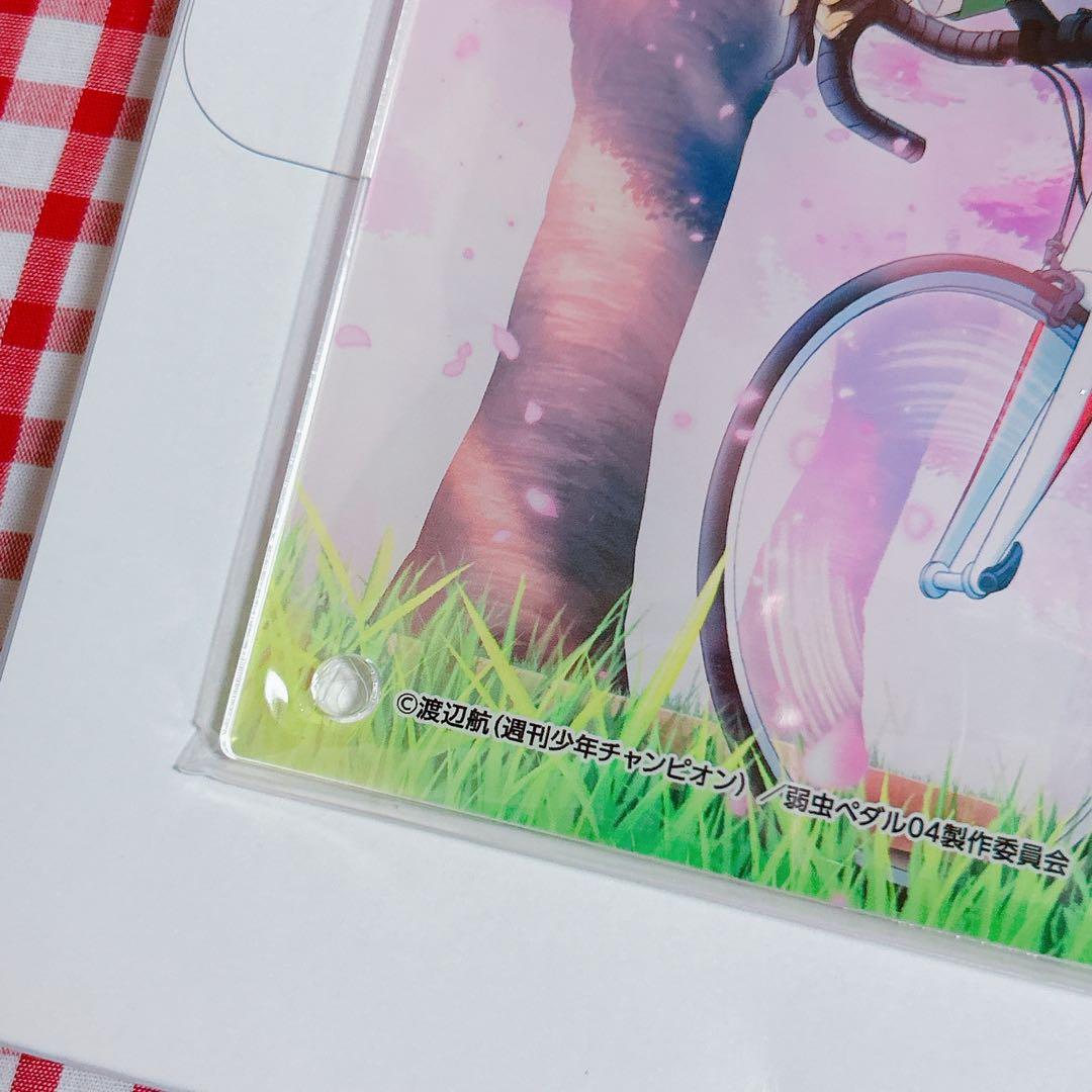 手嶋純太　青八木一　アクリルパネル　弱虫ペダル　桜ライド