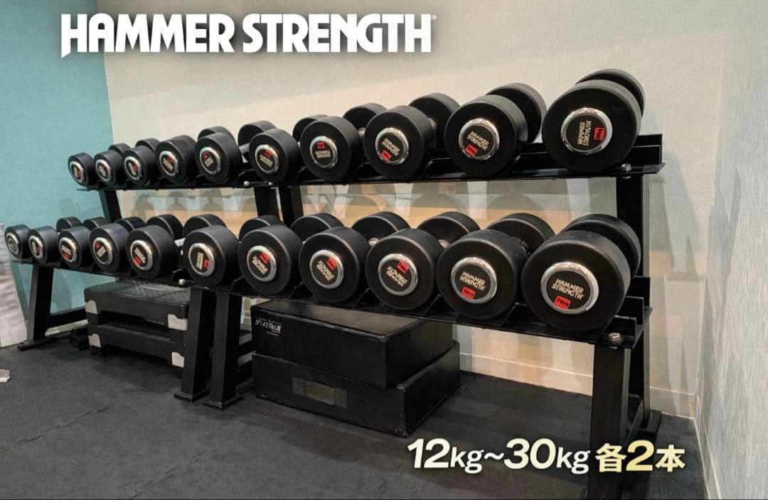 ハンマーストレングス ダンベルセット 12kg～30kg 2kg刻み 各2本