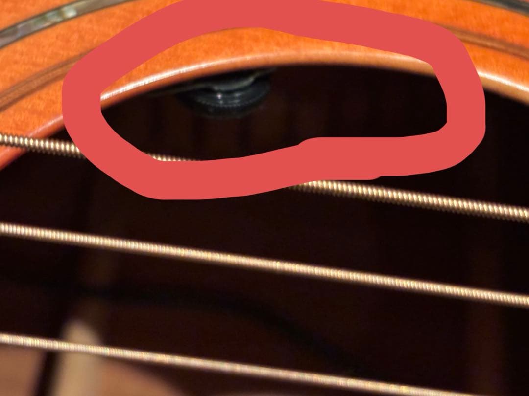 希少！　K.Yari BL65C CYS + L.R.Baggs エレアコ