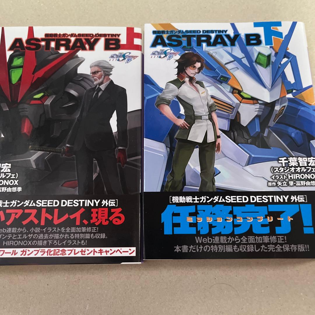 機動戦士ガンダムSEED DESTINY ASTRAY B 初版上下巻セット