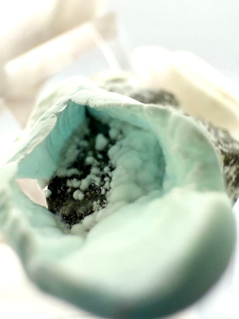 ブルー　アラゴナイト　霞石　カップ　原石　鉱物　標本　天然石