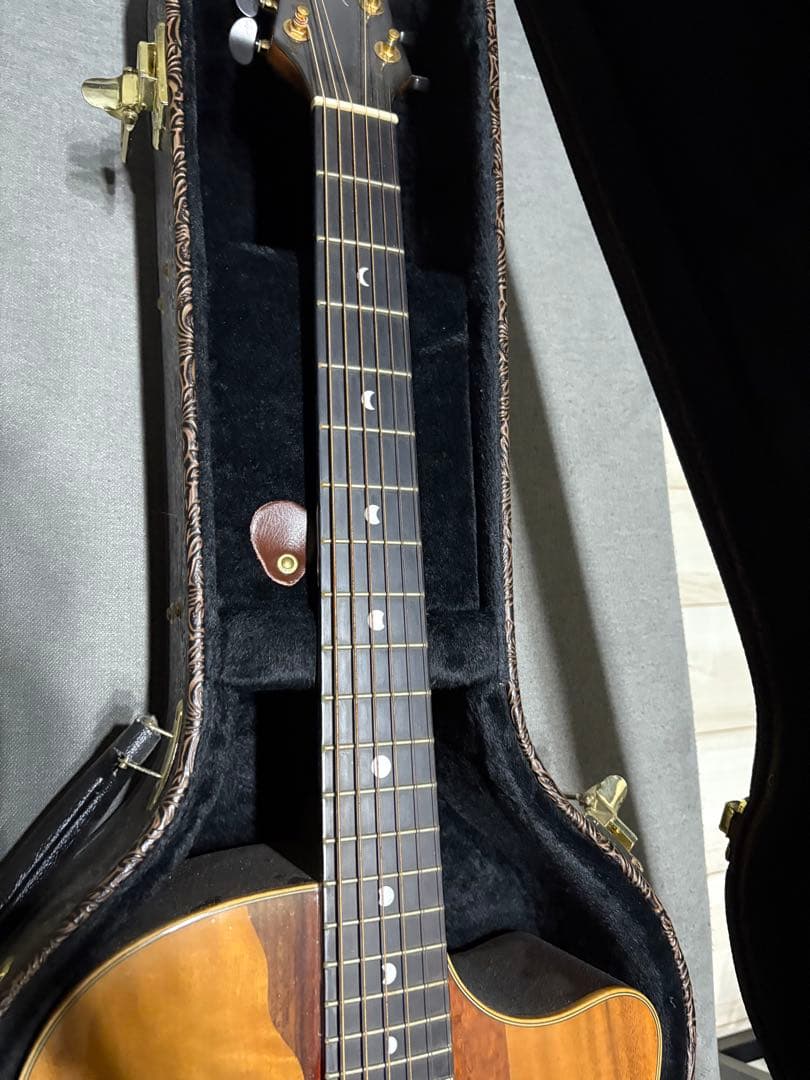 元新品8万円前後Luna Vista Eagle 6弦【ジャンク／修理ベース】