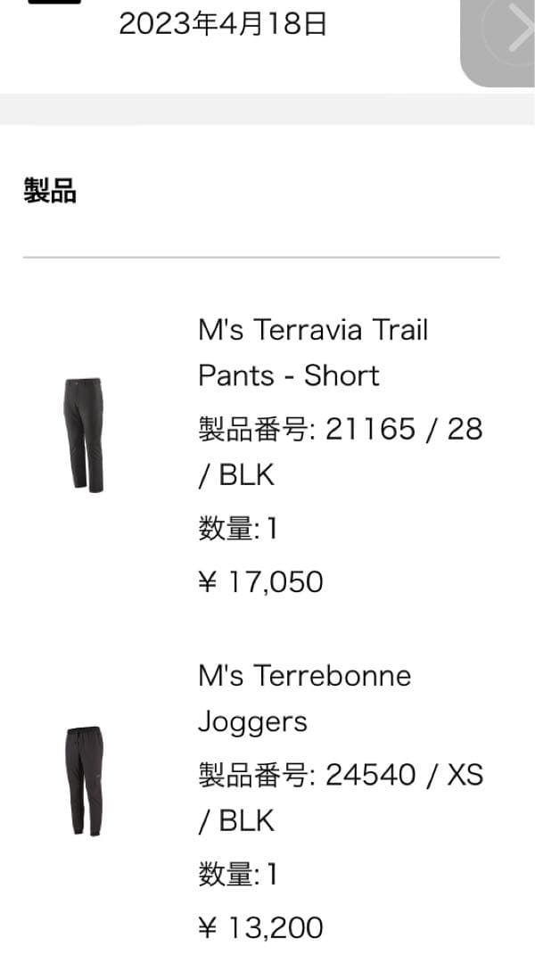 パタゴニア メンズ テルボンヌ ジョガーズ