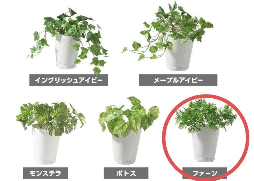 新品★LITHON ライソン グリーンアロマミスト 人工観葉植物 ディフューザー