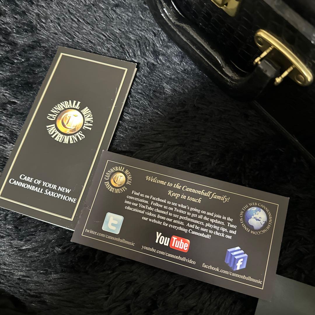 CANNONBALL アルトサックス用 ハードケース 管楽器 フライトケース