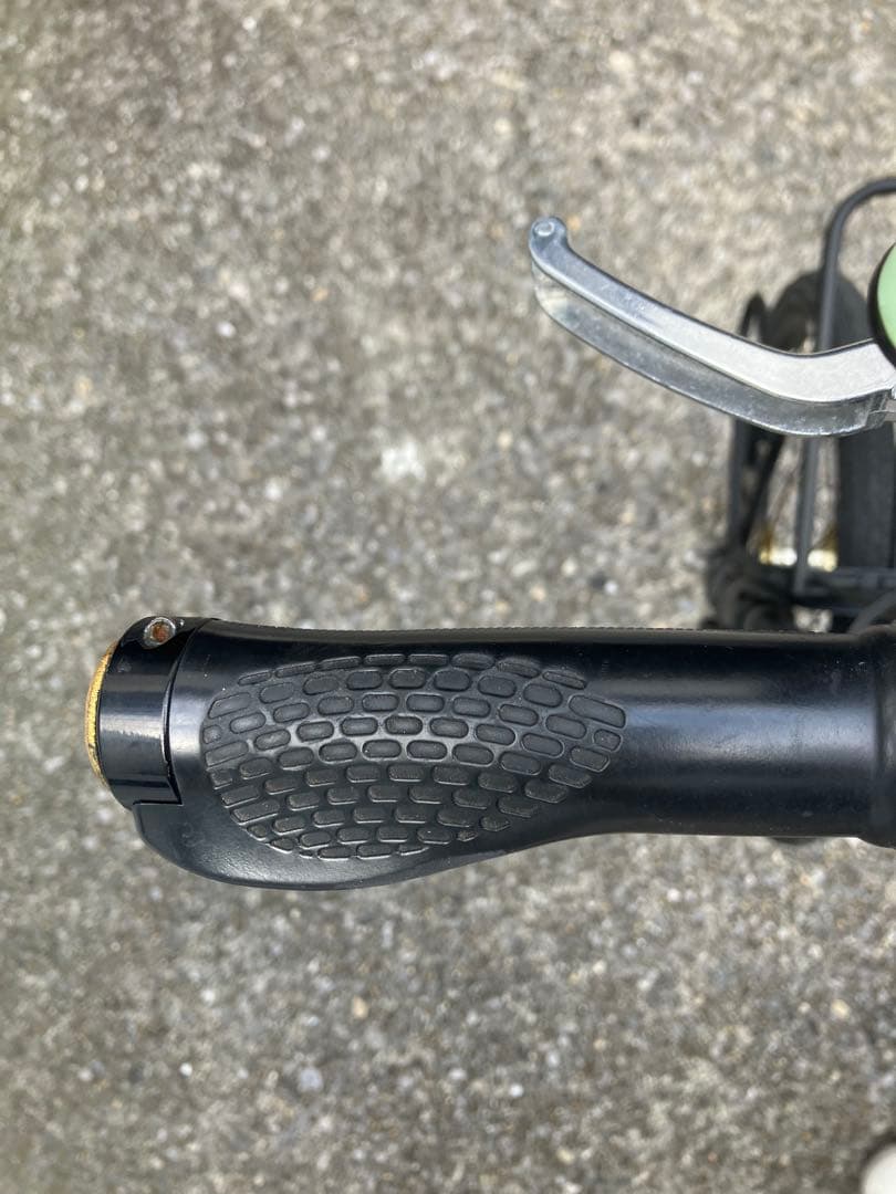 ドッペルギャンガー20インチ　★東京墨田区引き取り限定★