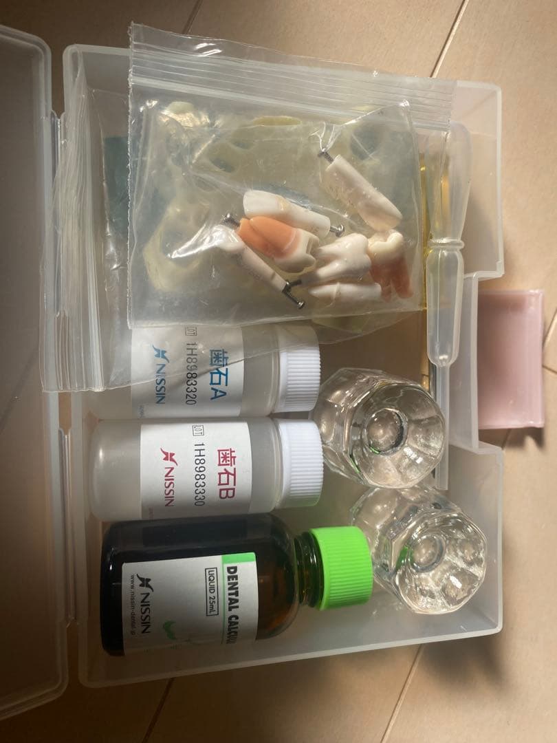 顎模型　人工歯石　セット売り　歯科