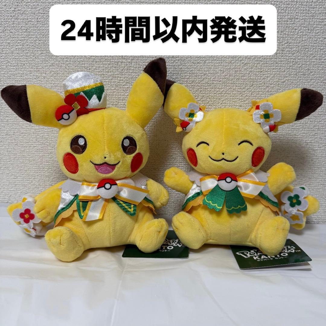 ポケパーク カントー 限定品 ピカチュウ ぬいぐるみ カーニバル衣装 セット