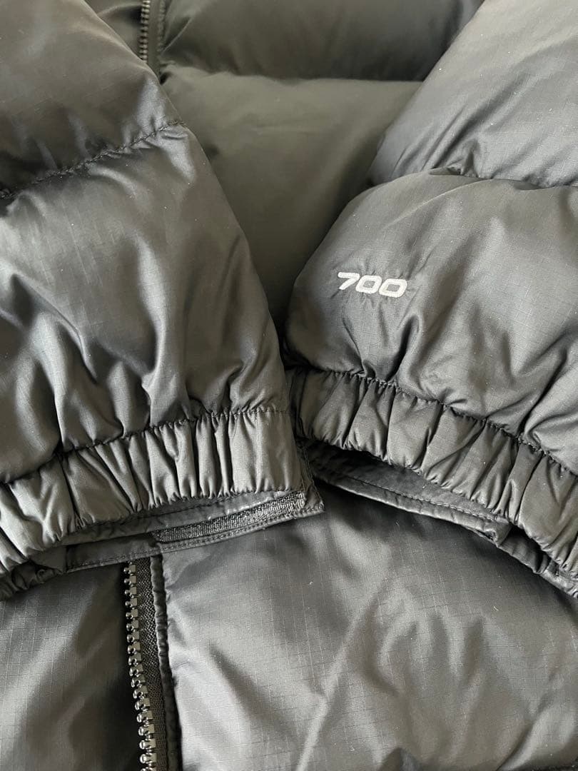 Lサイズ　THE NORTH FACE レトロ1996ヌプシダウンUS企画