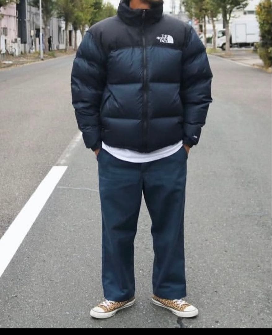 Lサイズ　THE NORTH FACE レトロ1996ヌプシダウンUS企画