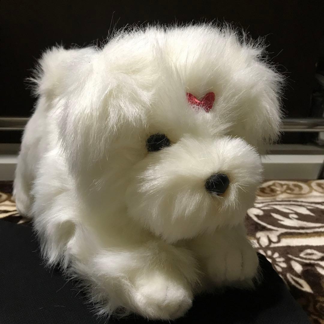 ぬいぐるみ　犬　マルチーズ　ファースト社　タグ付き　美品❣️