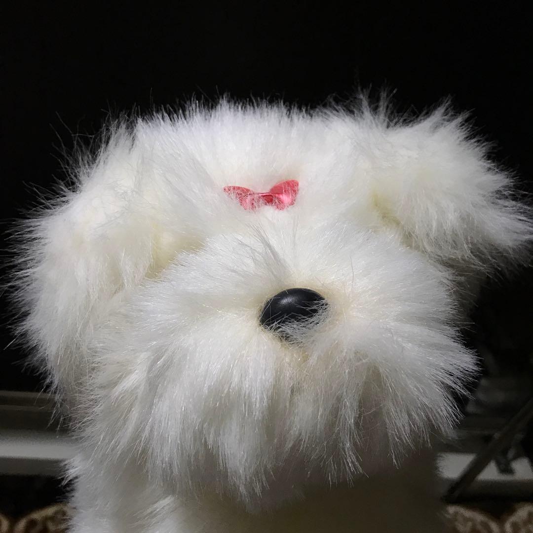 ぬいぐるみ　犬　マルチーズ　ファースト社　タグ付き　美品❣️