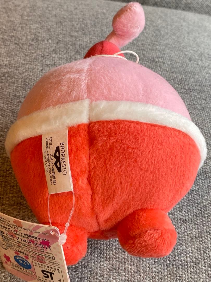 レア！ 紙タグ付 シーズンポケモンぬいぐるみ スプリング 全5種 コンプリート