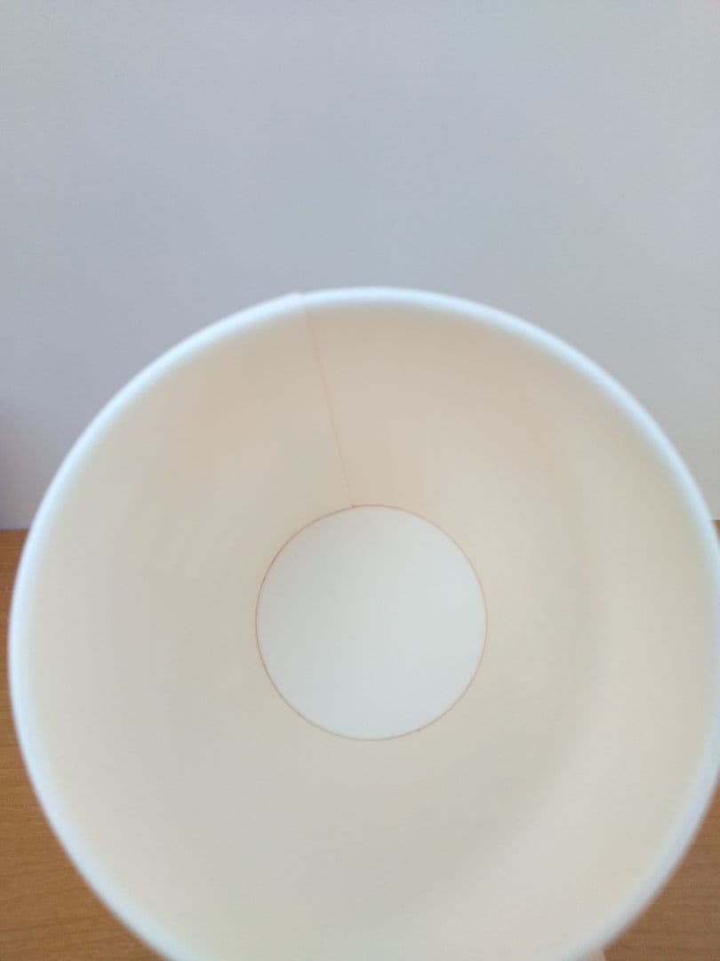 STARBUCKS　スターバックス　ホリデーカップ　2016　未使用　未記入　②