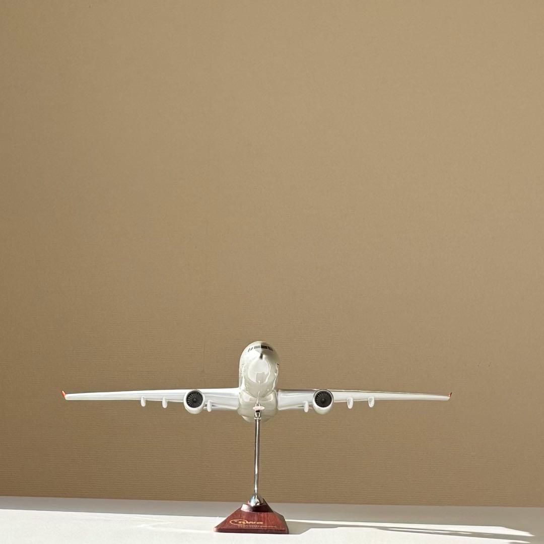【匿名配送】ノースウエスト 航空機 飛行機 模型 nwa モデル