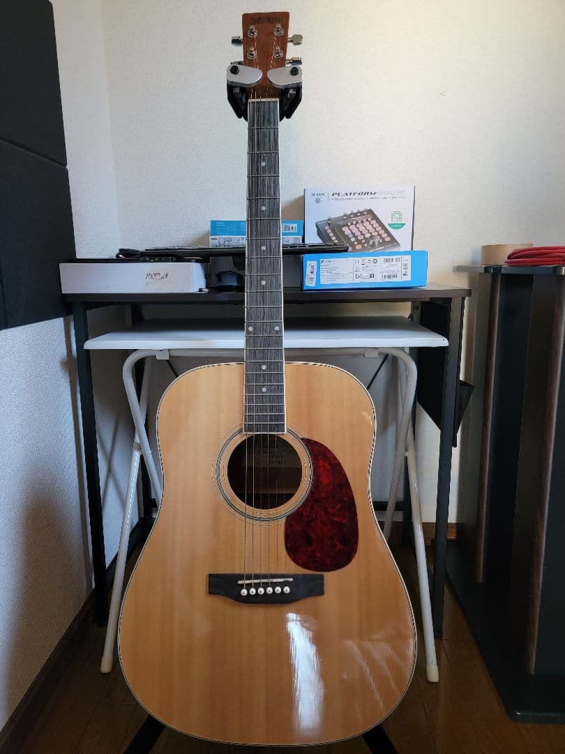 は*す様 Cat's Eyes アコースティックギター