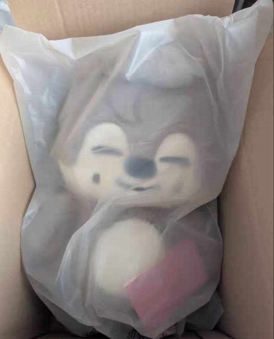 straykids スキズ テディベア SKZOO ウルフチャン　te