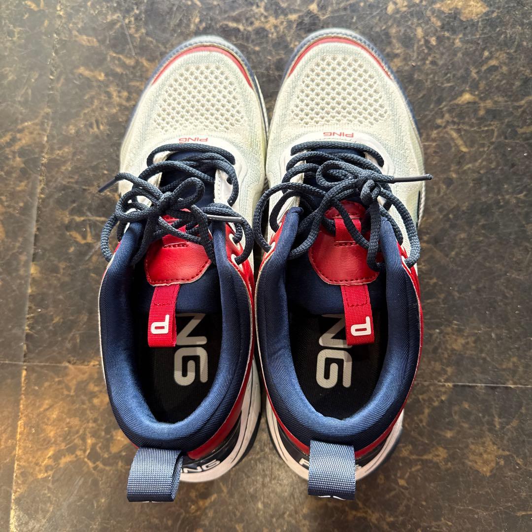 PING ゴルフシューズ 24.5cm 1回使用 美品