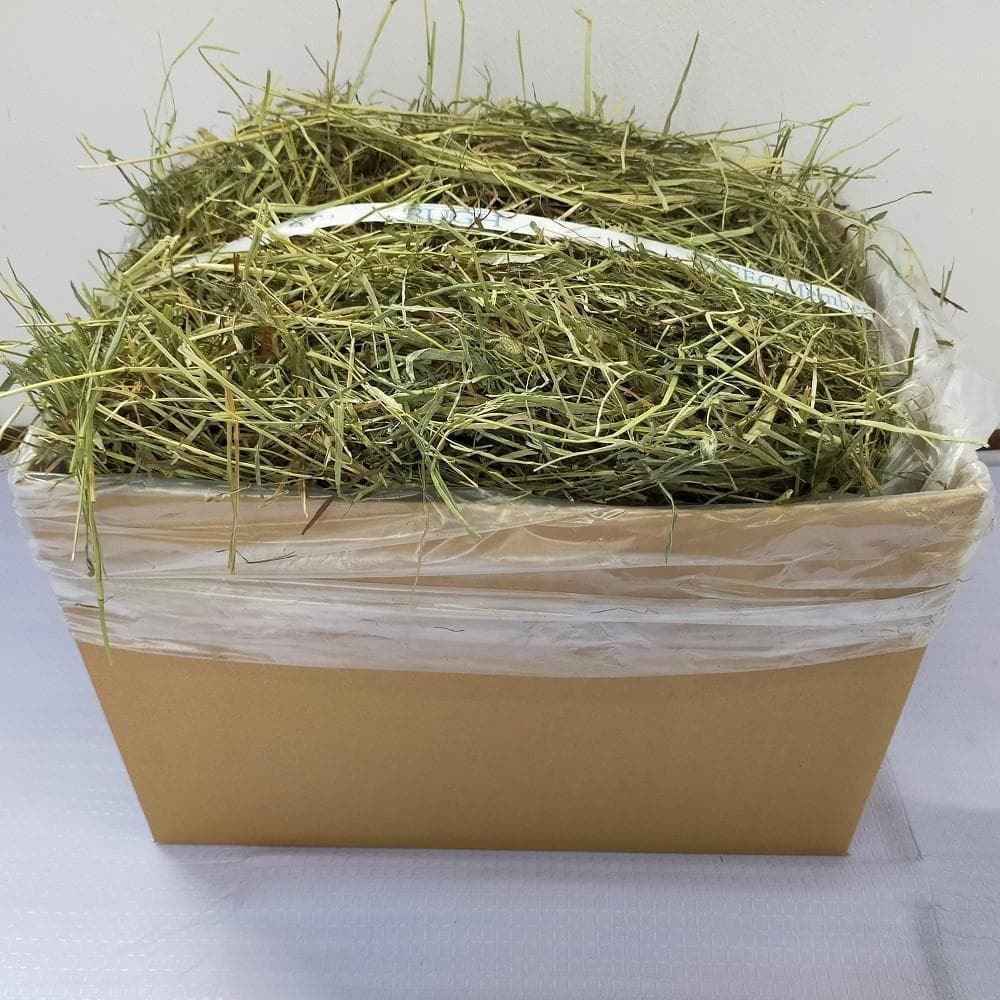 US産 チモシー 50kg ２番刈り ソフトSプレミアム