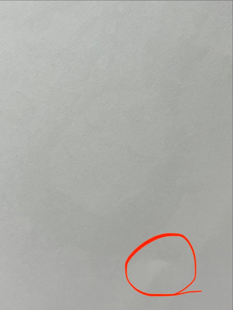 鬼滅の刃 伊黒小芭内 誕生祭 バースデー ランチョンマット 6枚セット