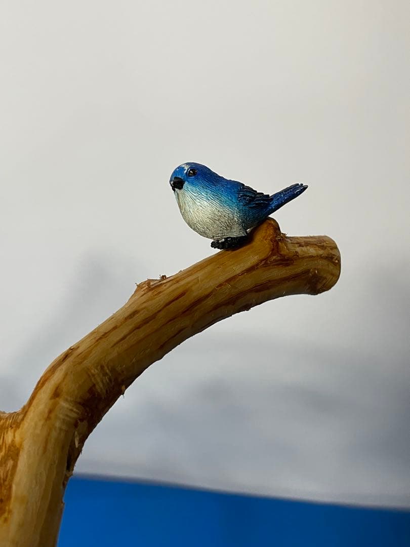 天然木白木卓上横タイプバードジム