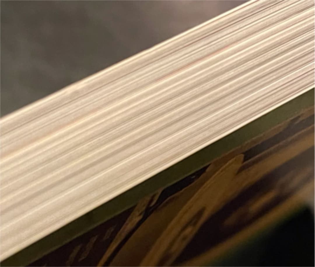 58激レア数量限定完売大人気陳情令 主演 王一博PB写真集