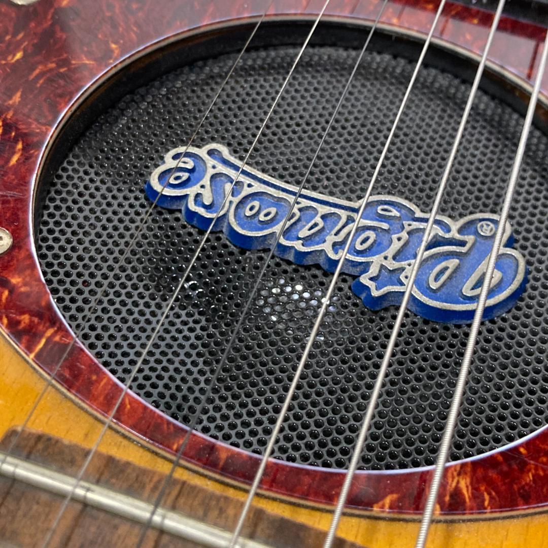 Pignose ピグノーズ アンプ内蔵ミニギター エレキギター