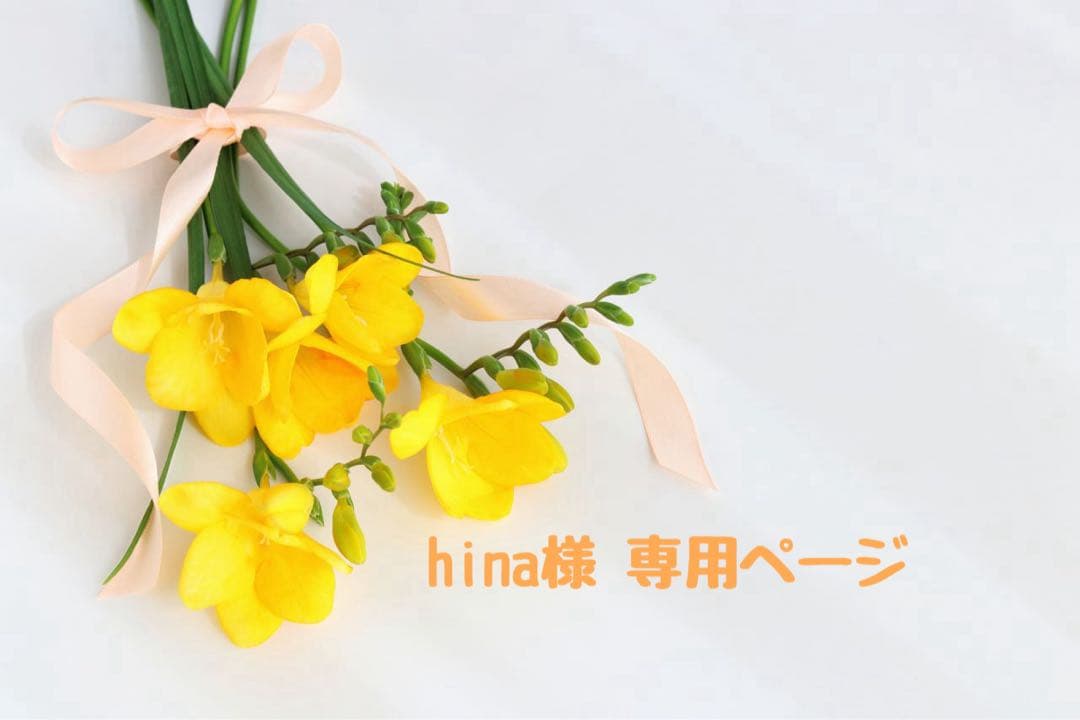 hina様 ♡ 専用ページ
