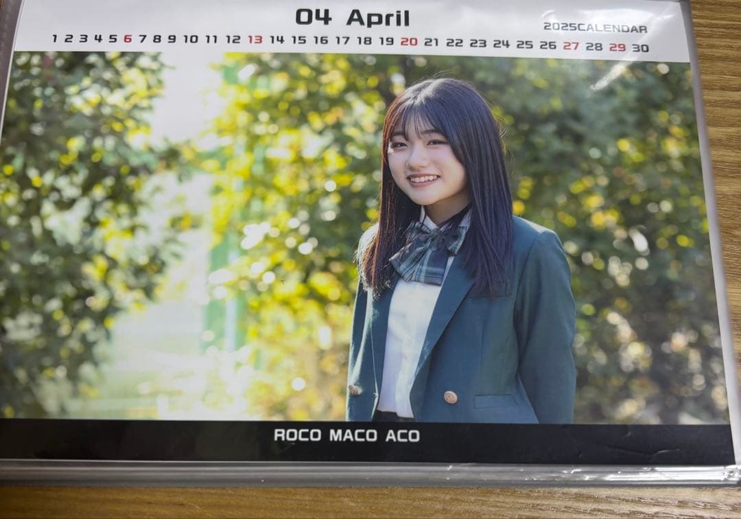 ROCO MACO ACO 2025年カレンダー