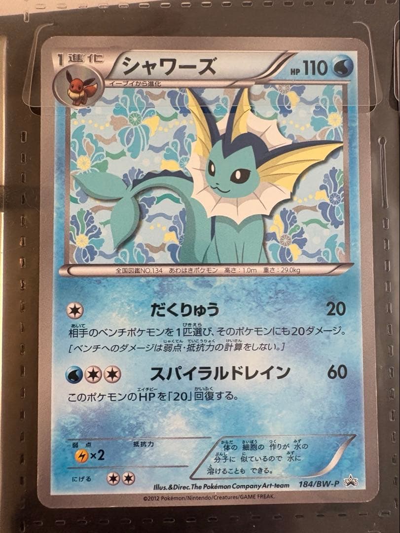 BW-Pプロモカード イーブイコレクション9枚セット おまけファイル付き