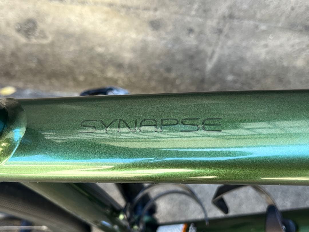 【neogoma】Synapse Disc 105 SE 54サイズ