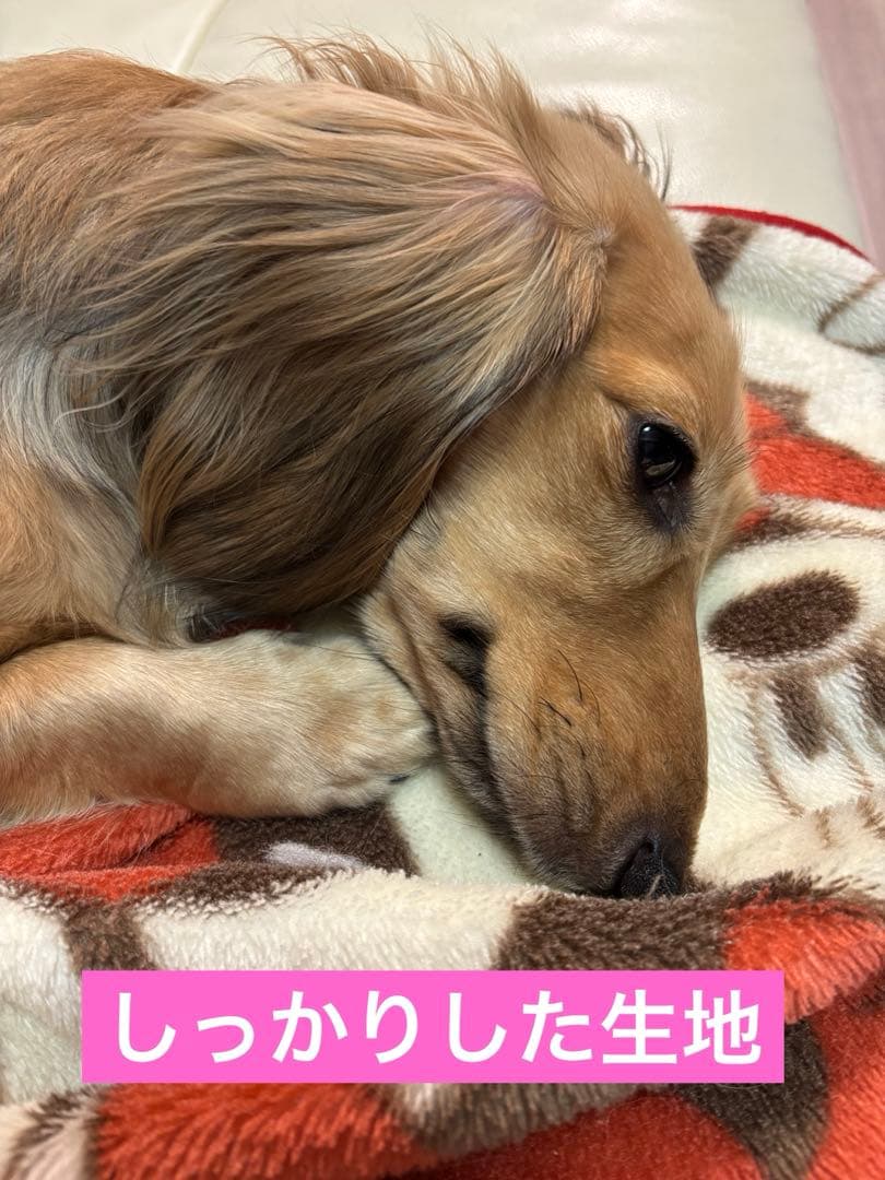 しっかりした生地