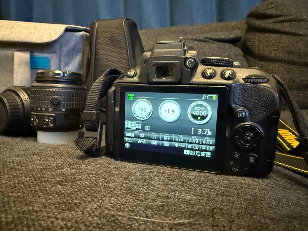 【レンズ3本付】Nikon D5300（動作確認済）