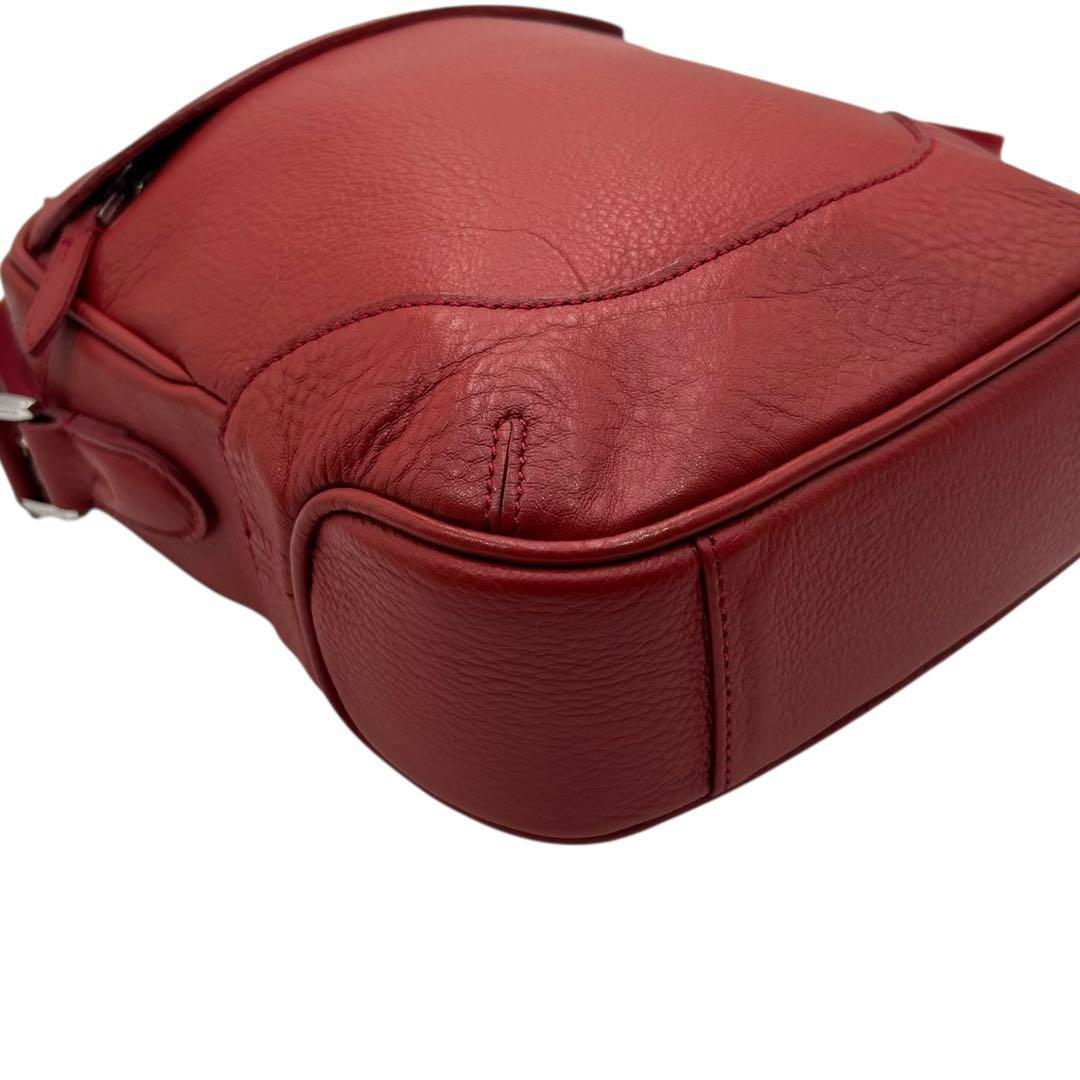 極美品　ペッレモルビダ　メイデンボヤージュ　ショルダーバッグ　レザー　斜め掛け◎