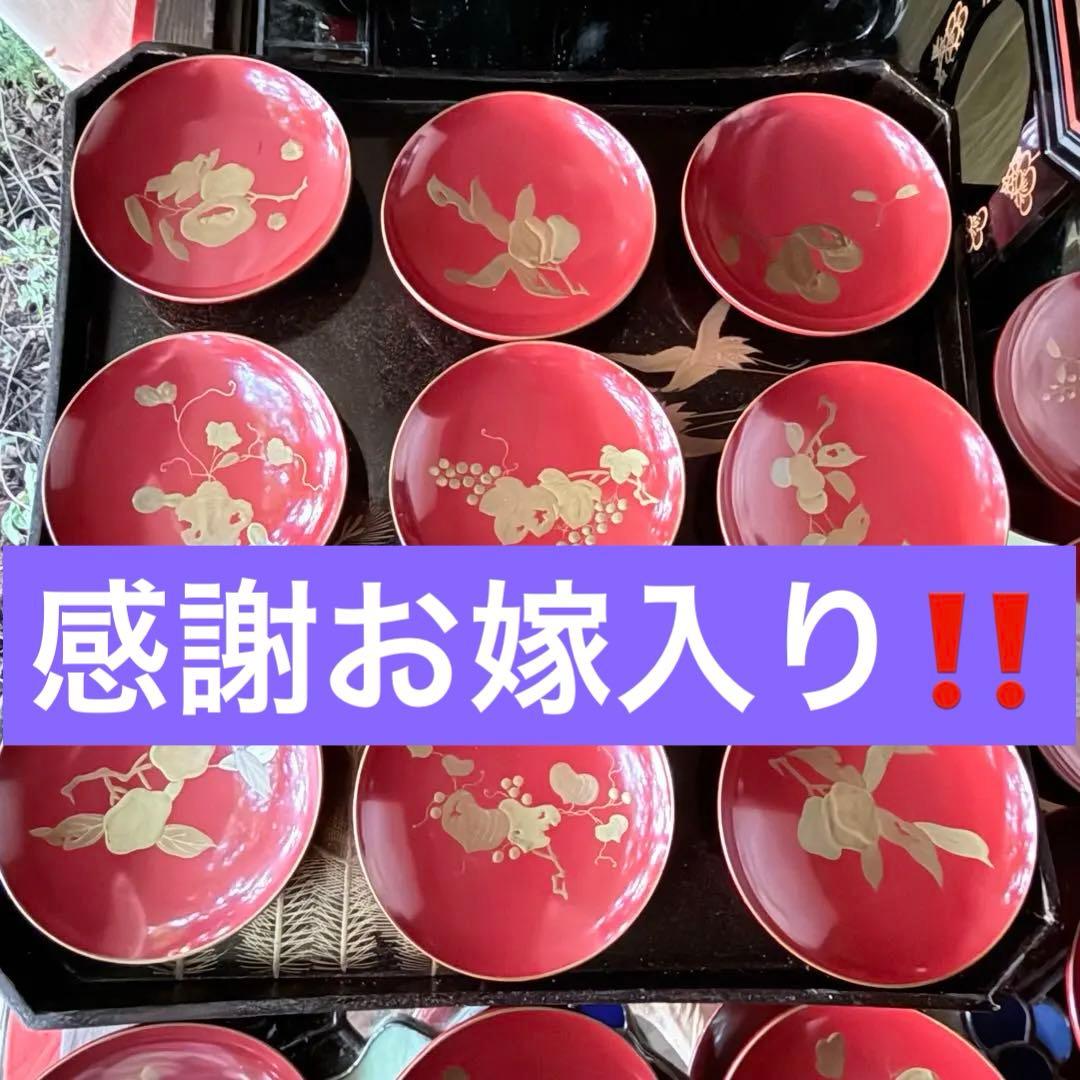 J様へ感謝お嫁入 ‼️高蒔絵『木の実』絵がわり引盃18客➕1プレゼント桐箱入茶道具