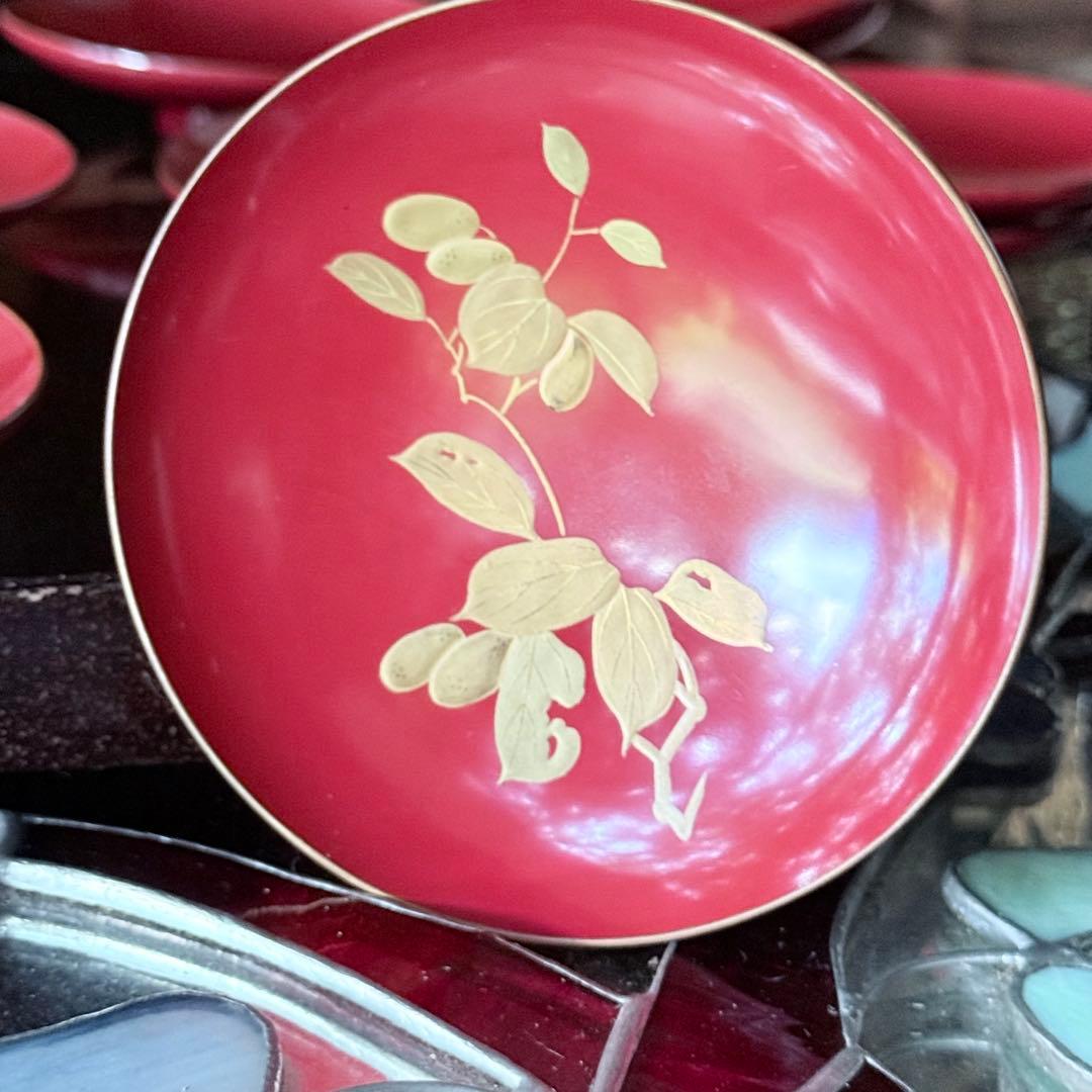 J様へ感謝お嫁入 ‼️高蒔絵『木の実』絵がわり引盃18客➕1プレゼント桐箱入茶道具